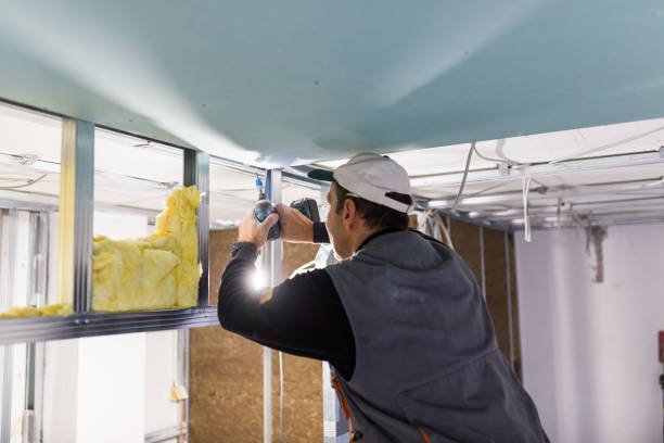 Types of Insulation We Offer in Cornelia, GA