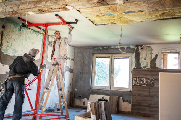 Best Commercial Insulation in Cornelia, GA